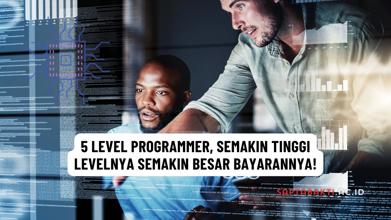 5 Level Programmer, Semakin Tinggi Levelnya Semakin Besar Bayarannya!